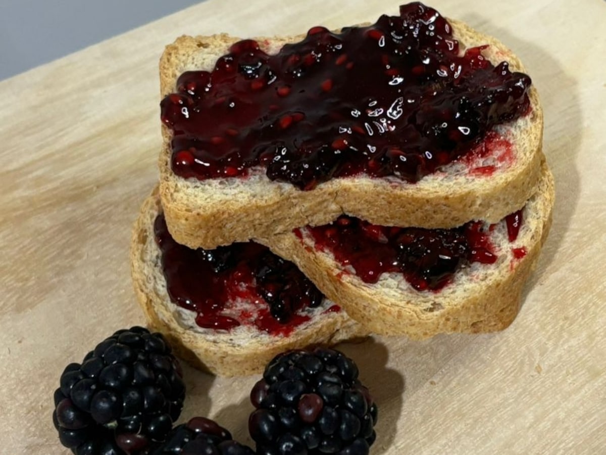 receita de frozen de amora com iogurte