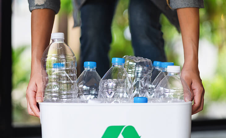 Guia Completo: Como Fazer uma Horta Suspensa com Garrafas PET