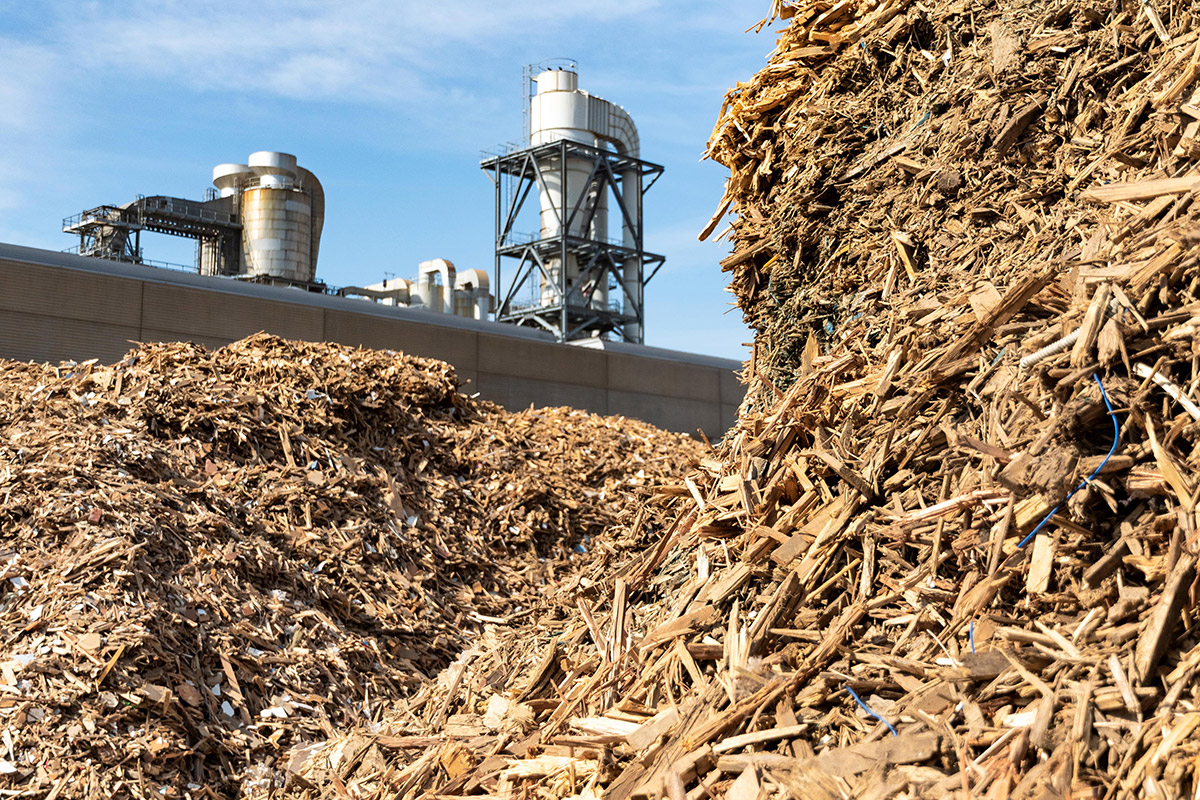 Ecopontos e Coleta Especializada: Onde Descartar Móveis de MDF na Sua Cidade