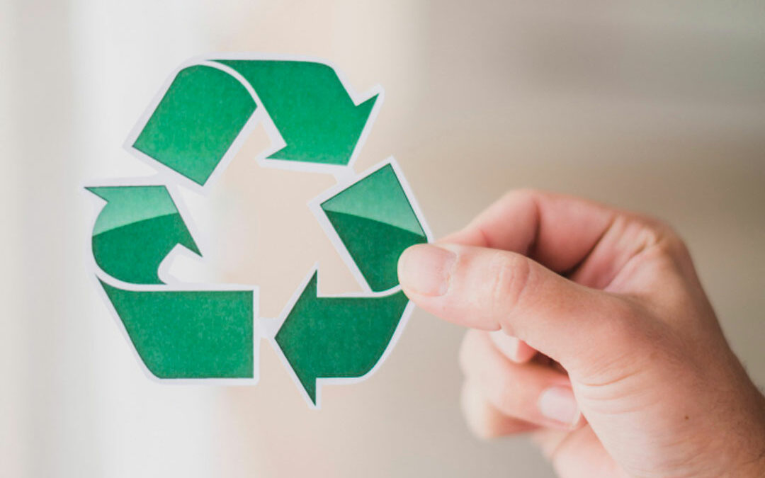 Reciclagem de Plástico: Entenda o Processo e Sua Importância