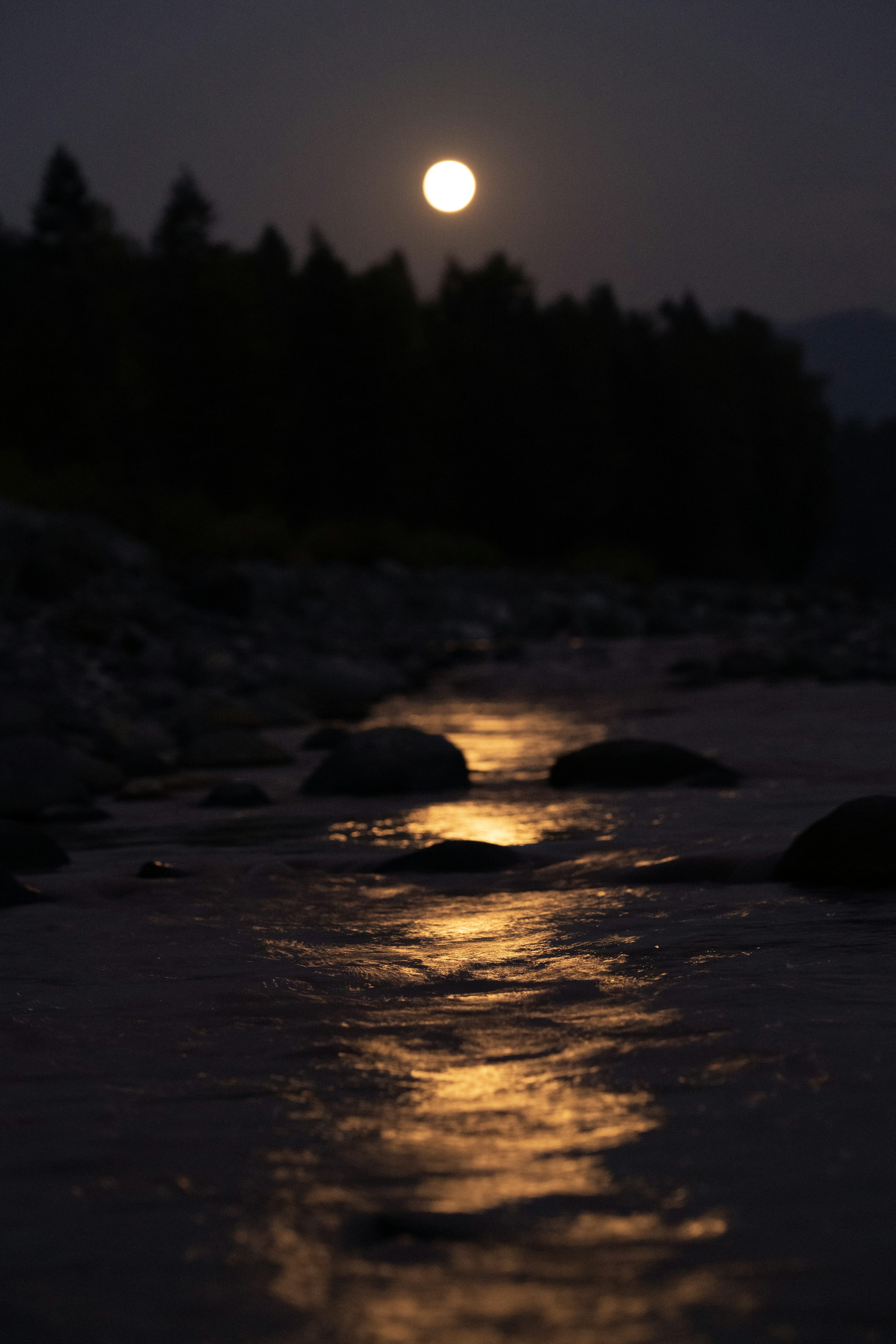 Os Múltiplos Sinônimos de 'Reflete' e Seus Contextos