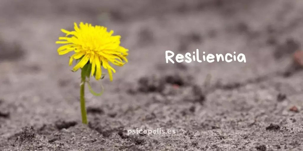 exemplos de resiliência na vida real