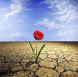 a importância da resiliência