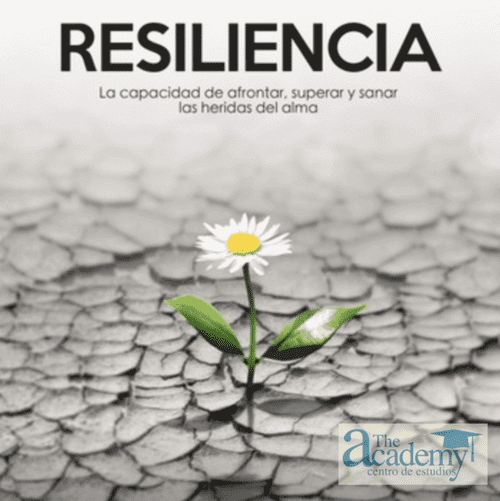 o que significa resiliência