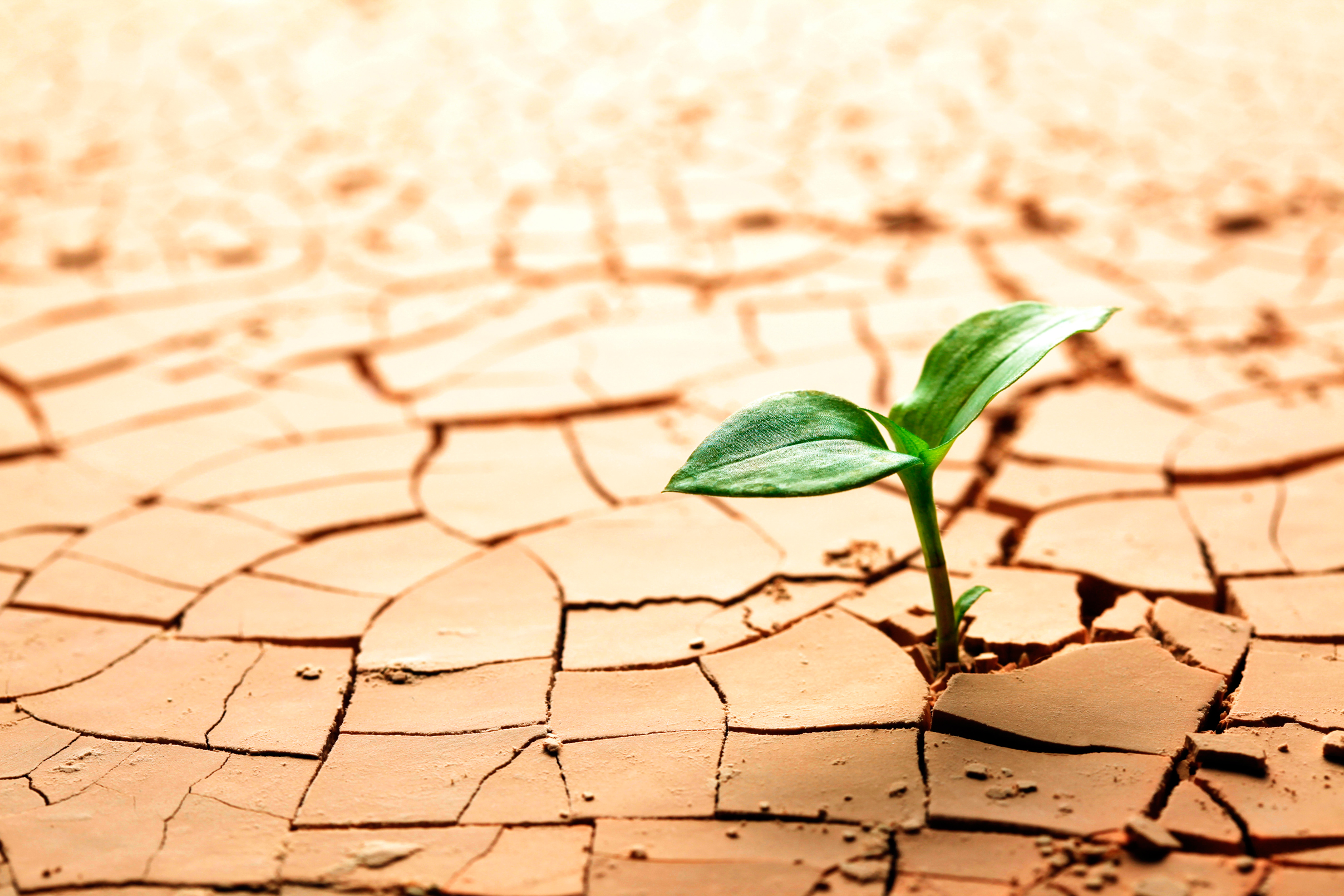 técnicas para aumentar a resiliência