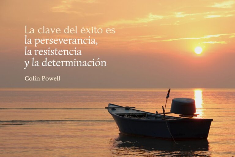 resiliencia