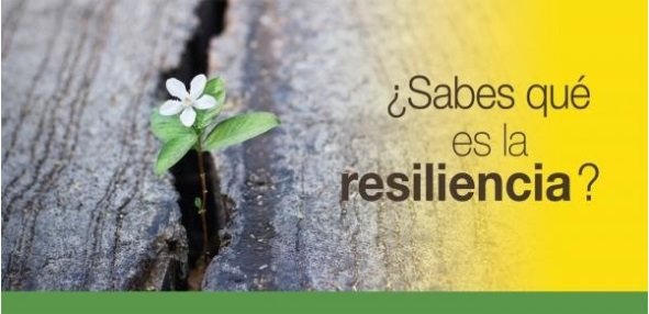 o que significa resiliência