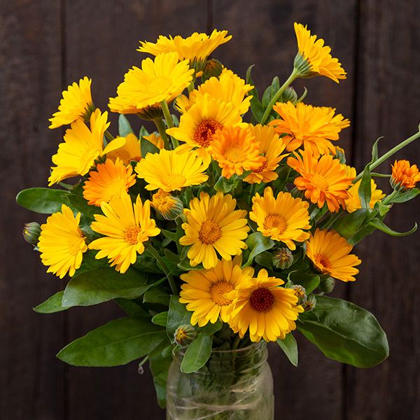 resina epóxi para iniciantes passo a passo