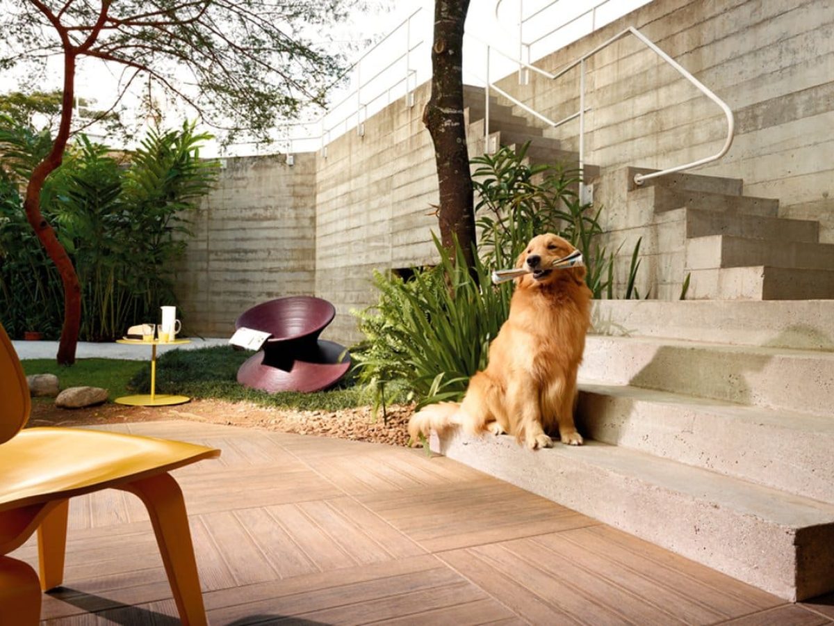 Decoração Econômica para Jardins Pequenos: Dicas com Paletes e Iluminação