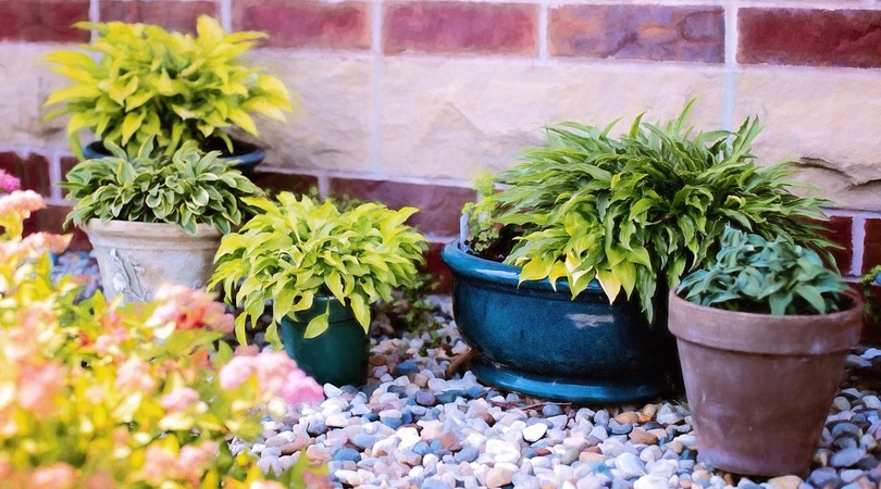 Iluminação Estratégica para Jardins Pequenos: Dicas e Produtos