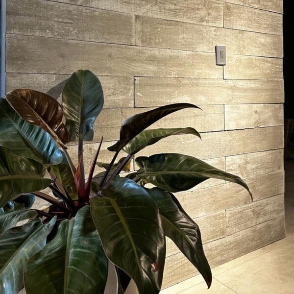 Pedras Naturais na Arquitetura: Vantagens e Aplicações