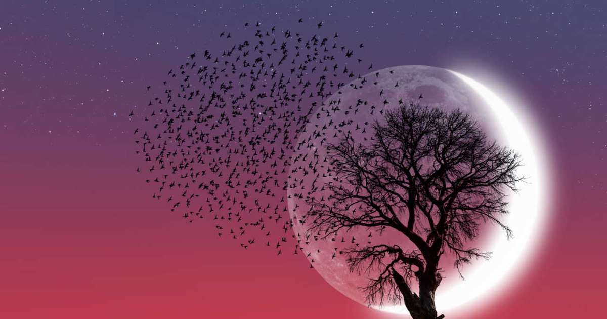 Guia Completo: Como Manifestar Desejos em Cada Fase da Lua