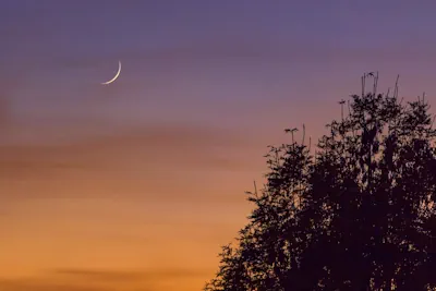 O Poder das Velas: Cores e Óleos Essenciais para Cada Intenção