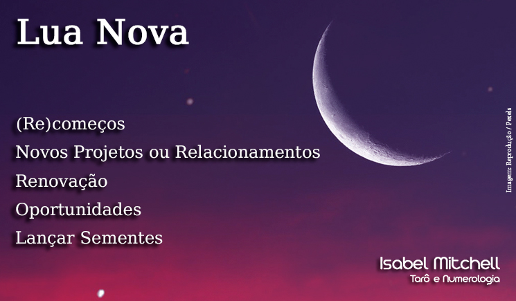 Ervas e Incensos Poderosos para Rituais de Limpeza Energética