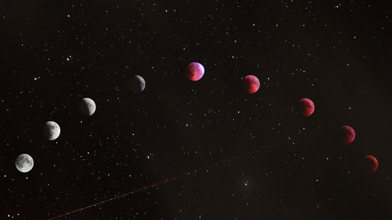 Ervas e Incensos Poderosos para Rituais de Limpeza Energética