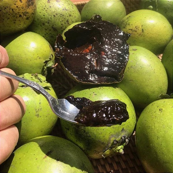 fruta pudim de chocolate benefícios