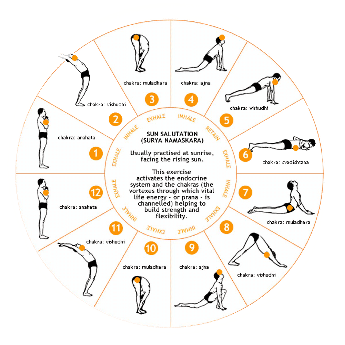 Guia Completo: Como Realizar a Saudação ao Sol para Iniciantes