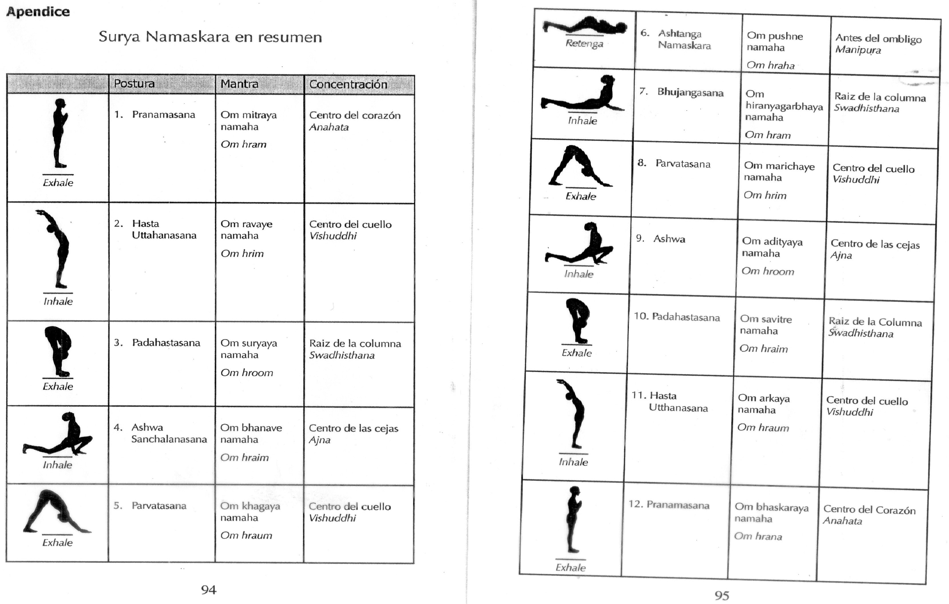 Guia Completo: Como Realizar a Saudação ao Sol para Iniciantes