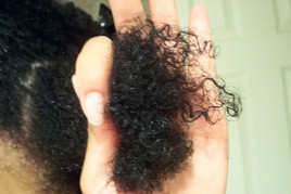 Os melhores óleos vegetais para tratar Scab Hair