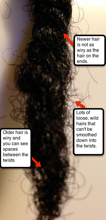 Guia completo de Cronograma Capilar para cabelos com Scab Hair