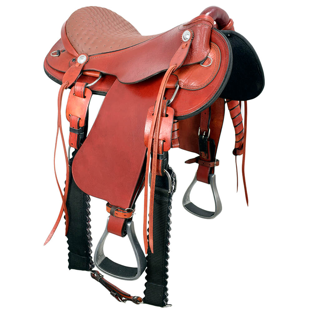 Selas Americanas vs. Australianas: Qual a Melhor para Você e Seu Cavalo?