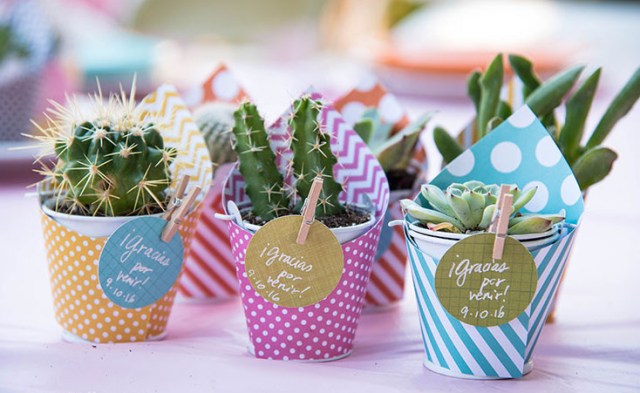 setembro verde ideias criativas para lembrancinhas que inspiram