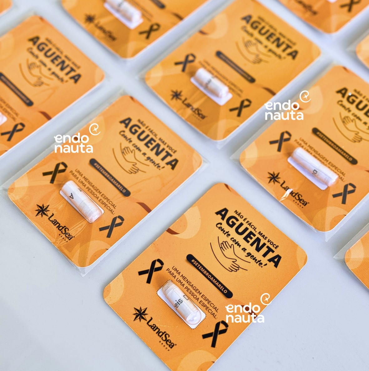 Como criar um kit de plantio para setembro verde