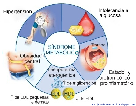 5 Alimentos Essenciais para Combater a Síndrome Metabólica