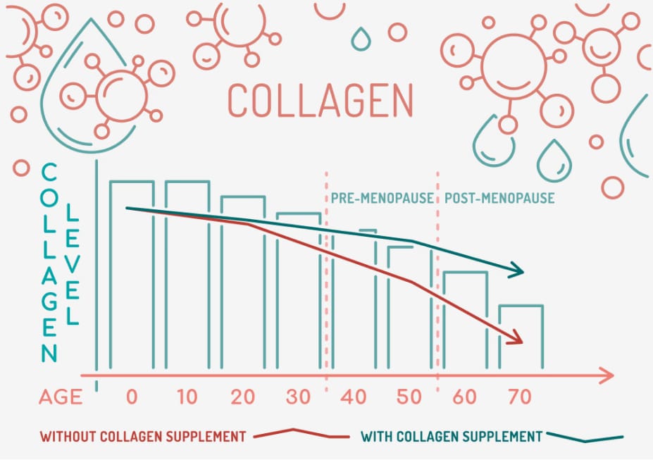 slow aging o metodo para envelhecer bem que nao envolve procedimentos invasivos