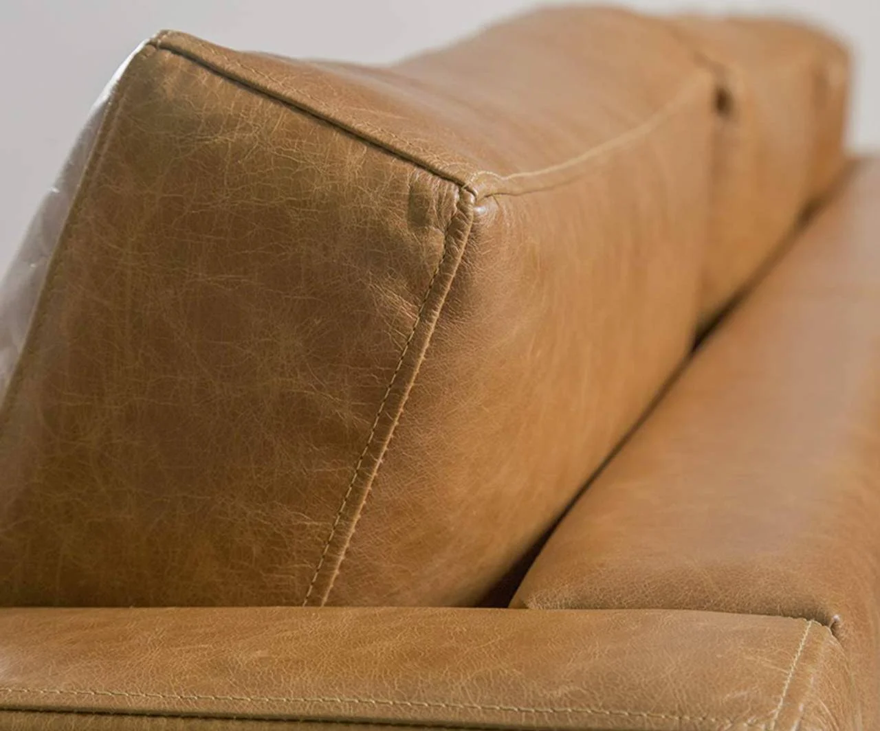 Sofá de veludo é bom para casas com pets?