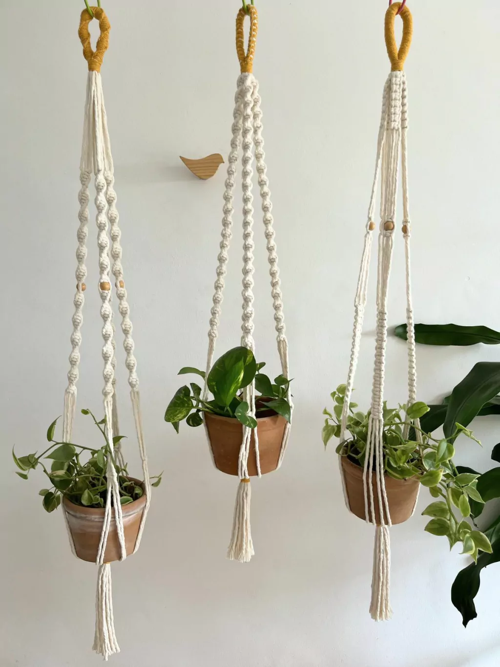 DIY: Crie Seu Próprio Suporte de Planta em Macramê