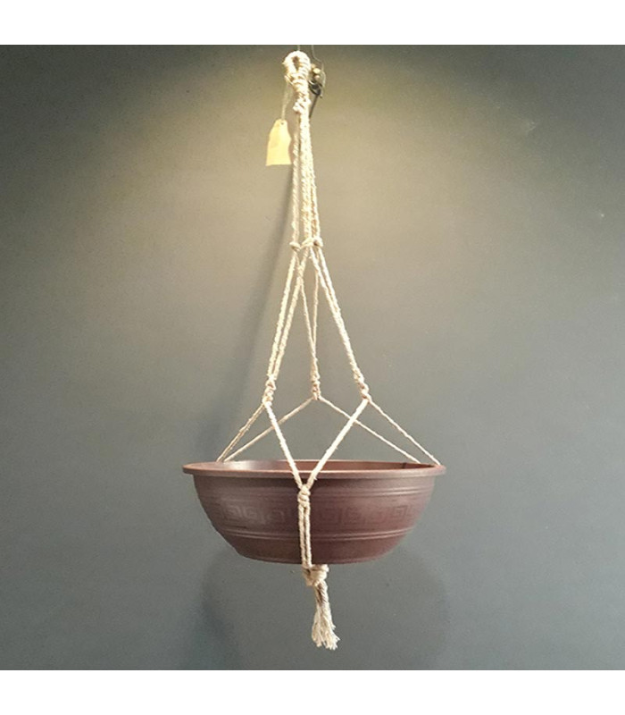 Guia Completo de Plantas para Vasos Suspensos