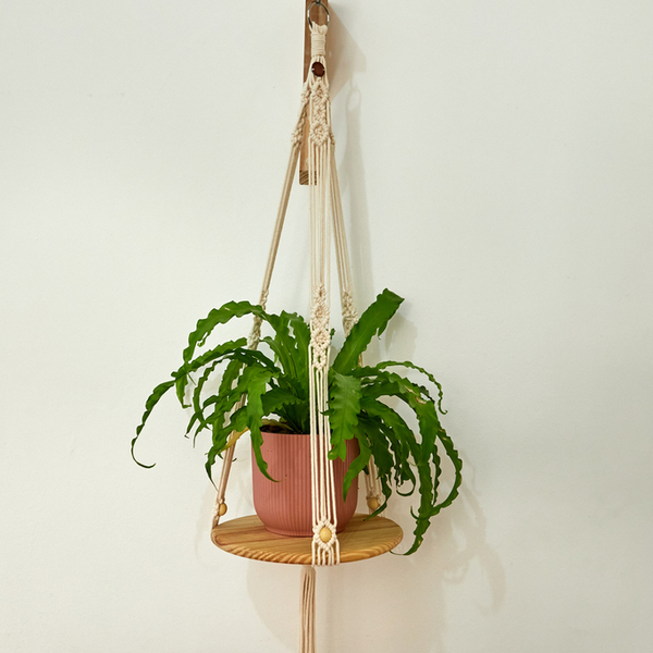 DIY: Crie Seu Próprio Suporte de Planta em Macramê