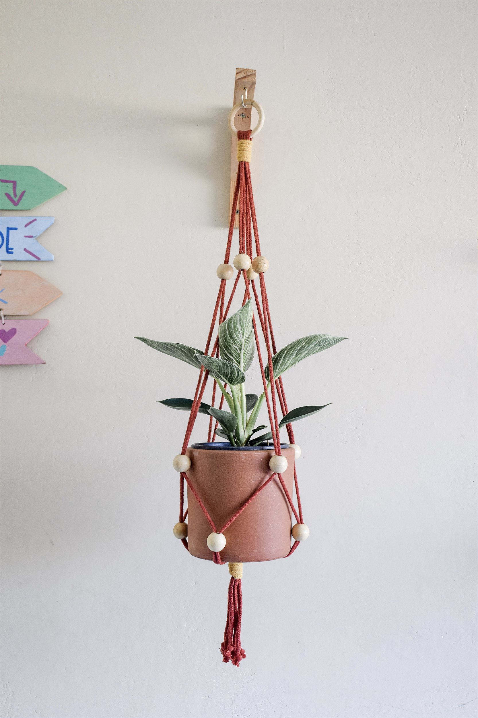 Como Escolher o Fio Ideal para Seu Suporte de Planta