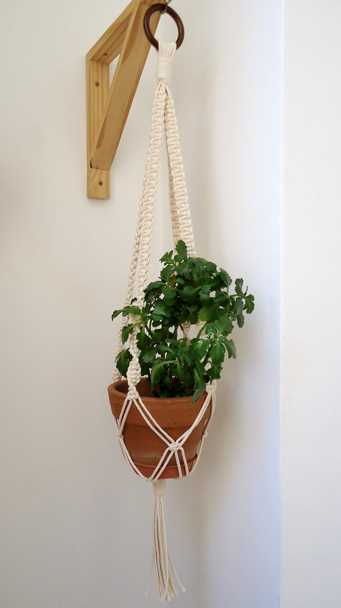 suporte de planta macrame