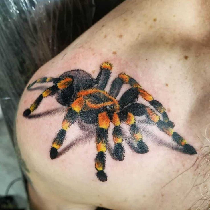 Tatuagem de Aranha: Desvendando Seus Múltiplos Significados Positivos e Negativos