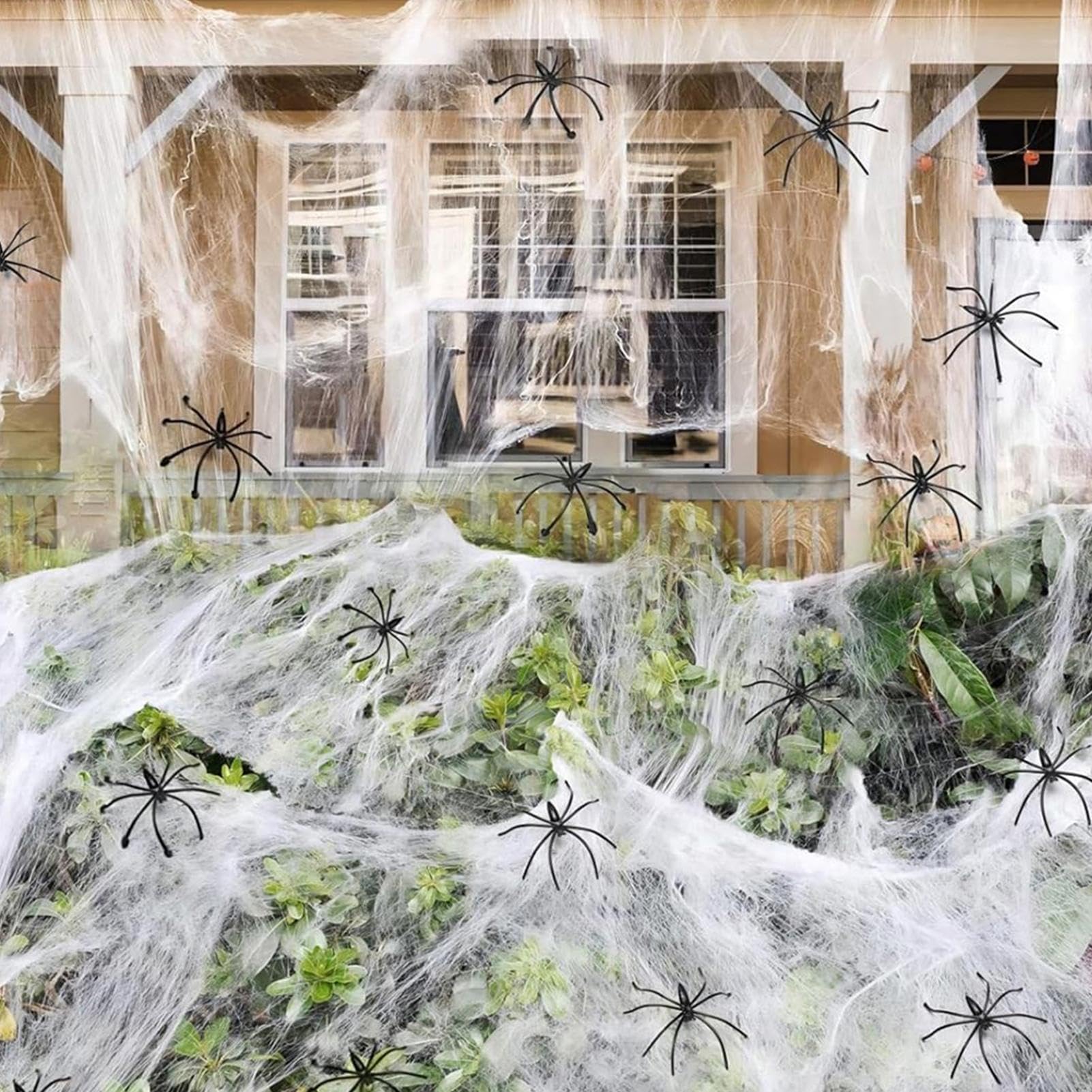 evitar aranhas em casa de forma natural