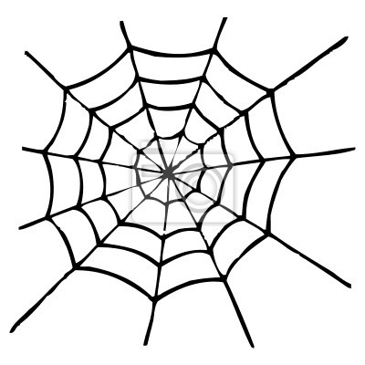 produtos que aranhas não gostam