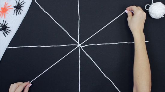 produtos que aranhas não gostam