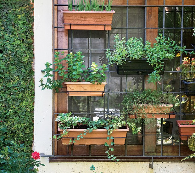 Guia completo: Como montar sua horta de temperos em pequenos espaços