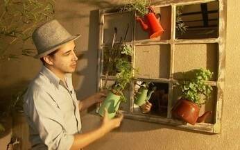 Temperos que não precisam de muito sol: Opções para apartamentos e varandas