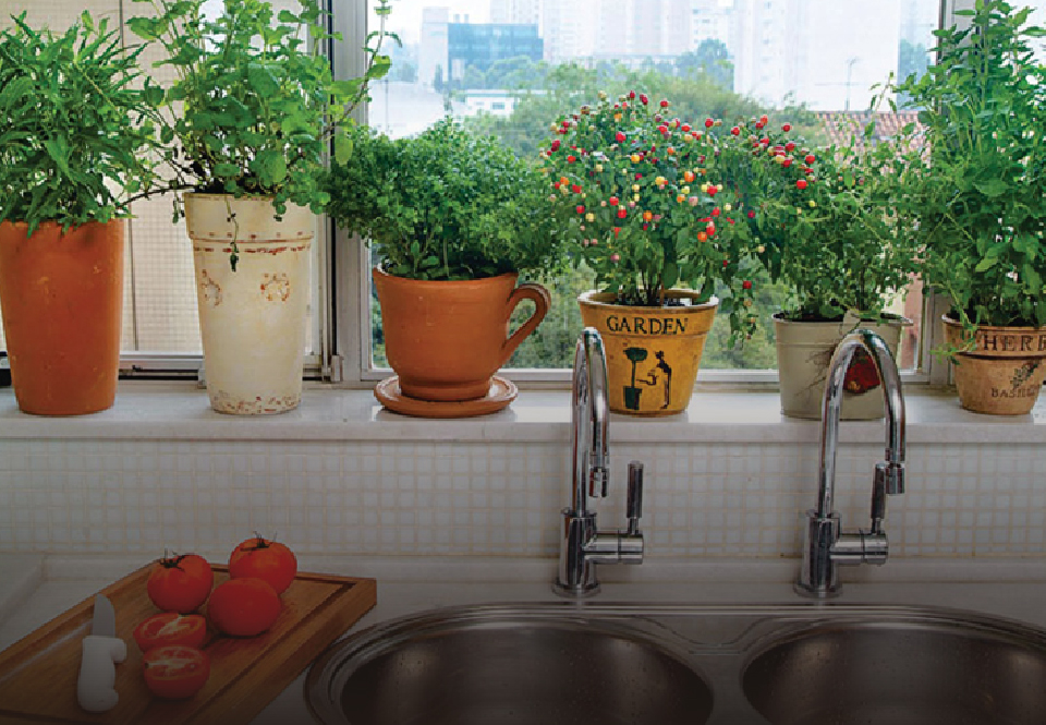 Guia completo: Como montar sua horta de temperos em pequenos espaços