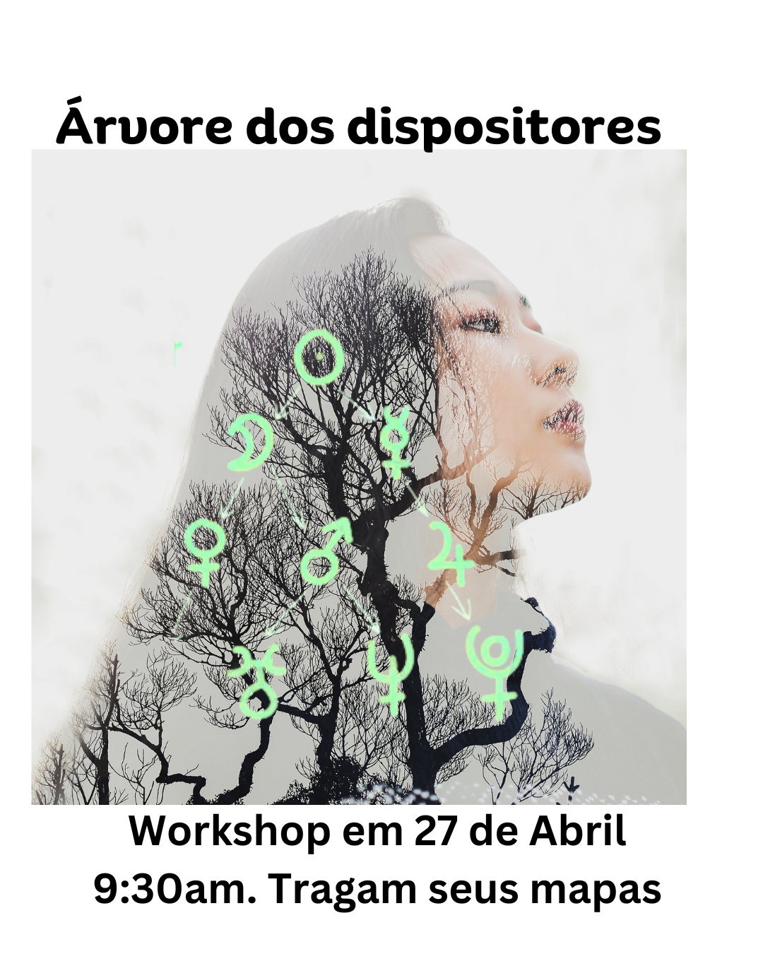 fitoncidas e sistema imunológico benefícios