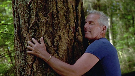 como praticar banho de floresta