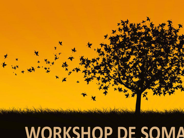 como praticar banho de floresta