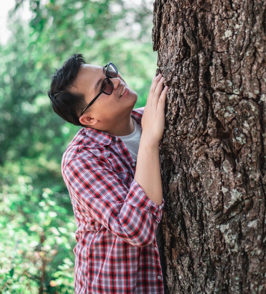 terapia com árvores