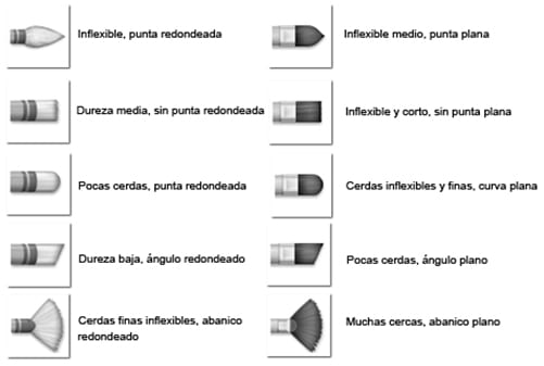 tipos de cerdas de pincel