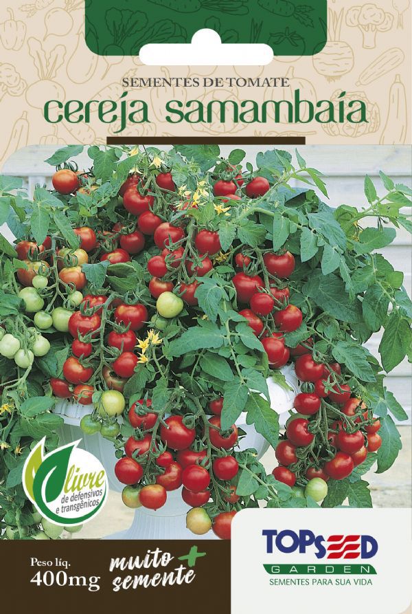 como plantar tomate cereja em vaso passo a passo