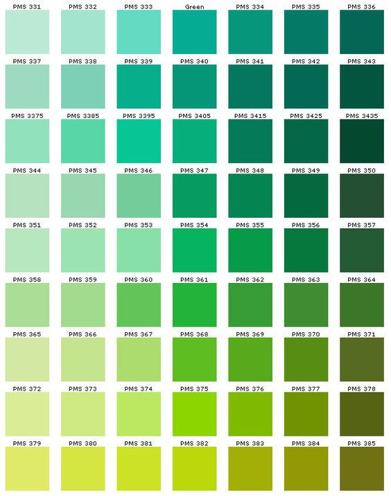 paleta de cores verde decoração