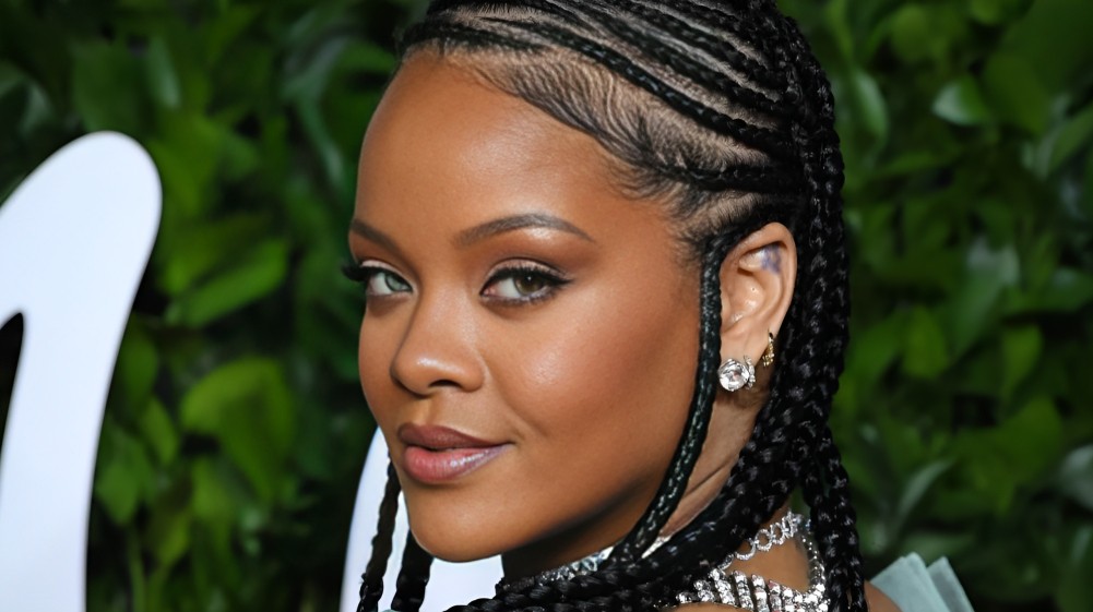 Transição Capilar com Box Braids: Mitos e Verdades